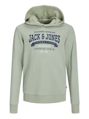 Jack & Jones Junior Boys Logo 2 Colour Sweat Hoody - Desert Sage