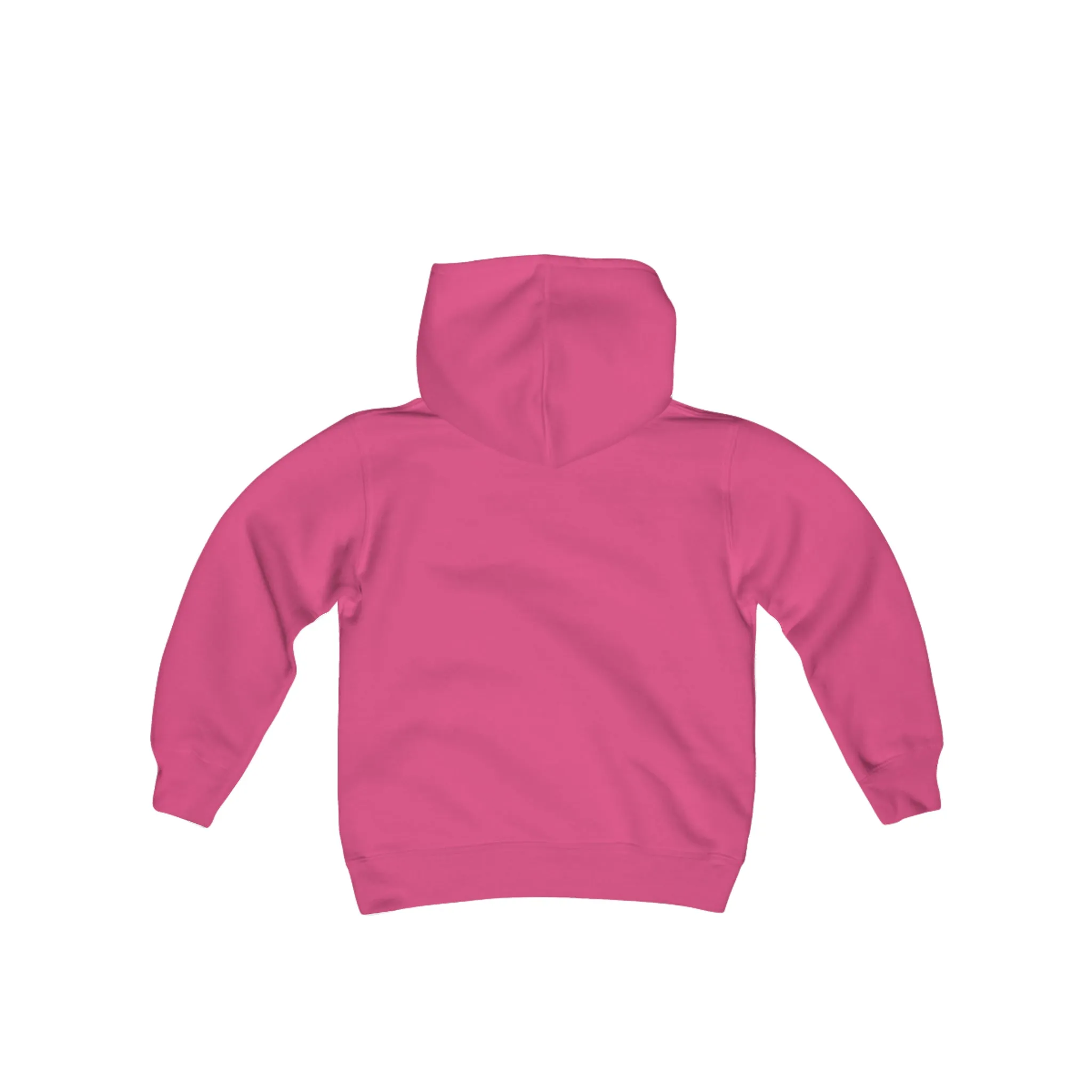 MSP Lakeview Youth Hooded Sweatshirt