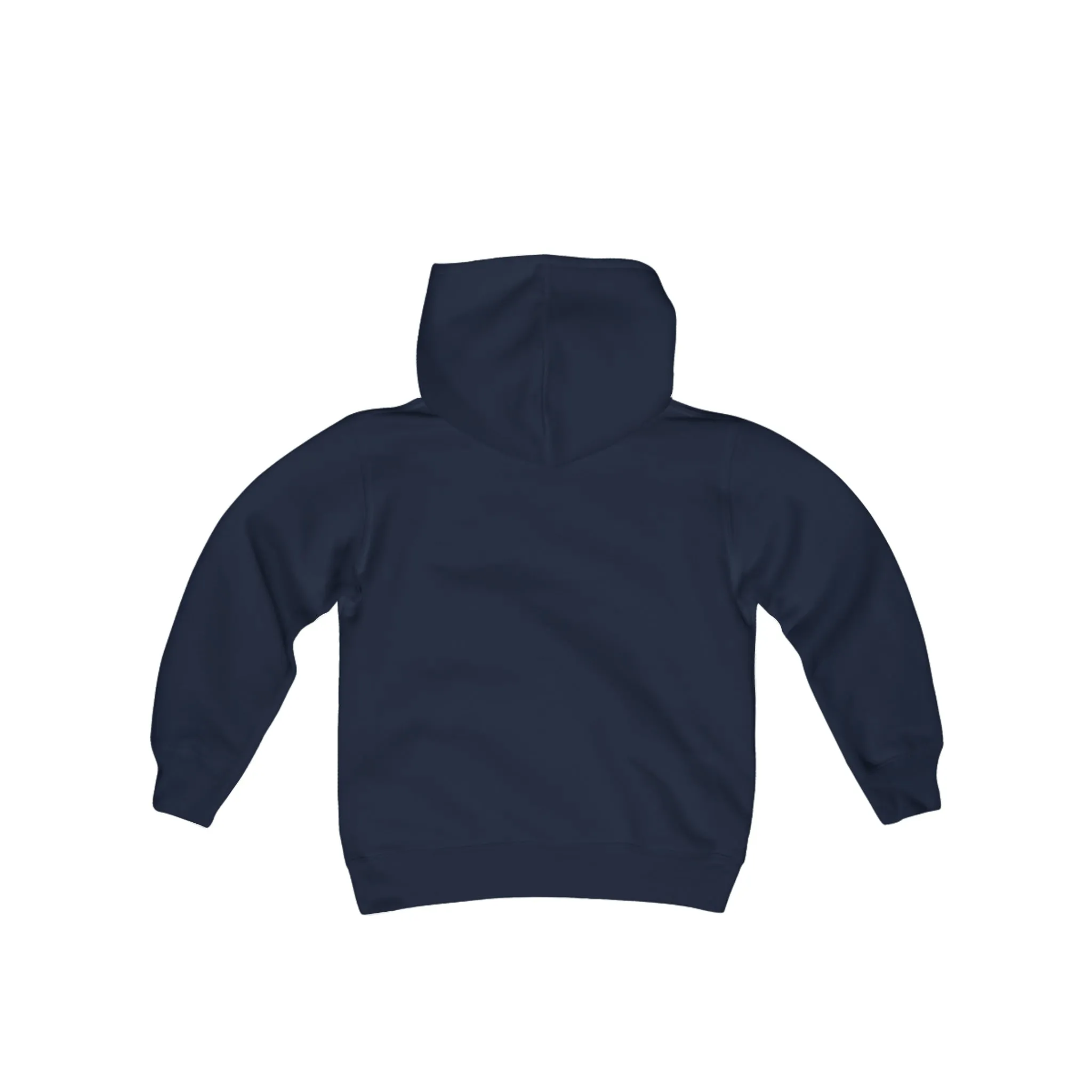 MSP Lakeview Youth Hooded Sweatshirt