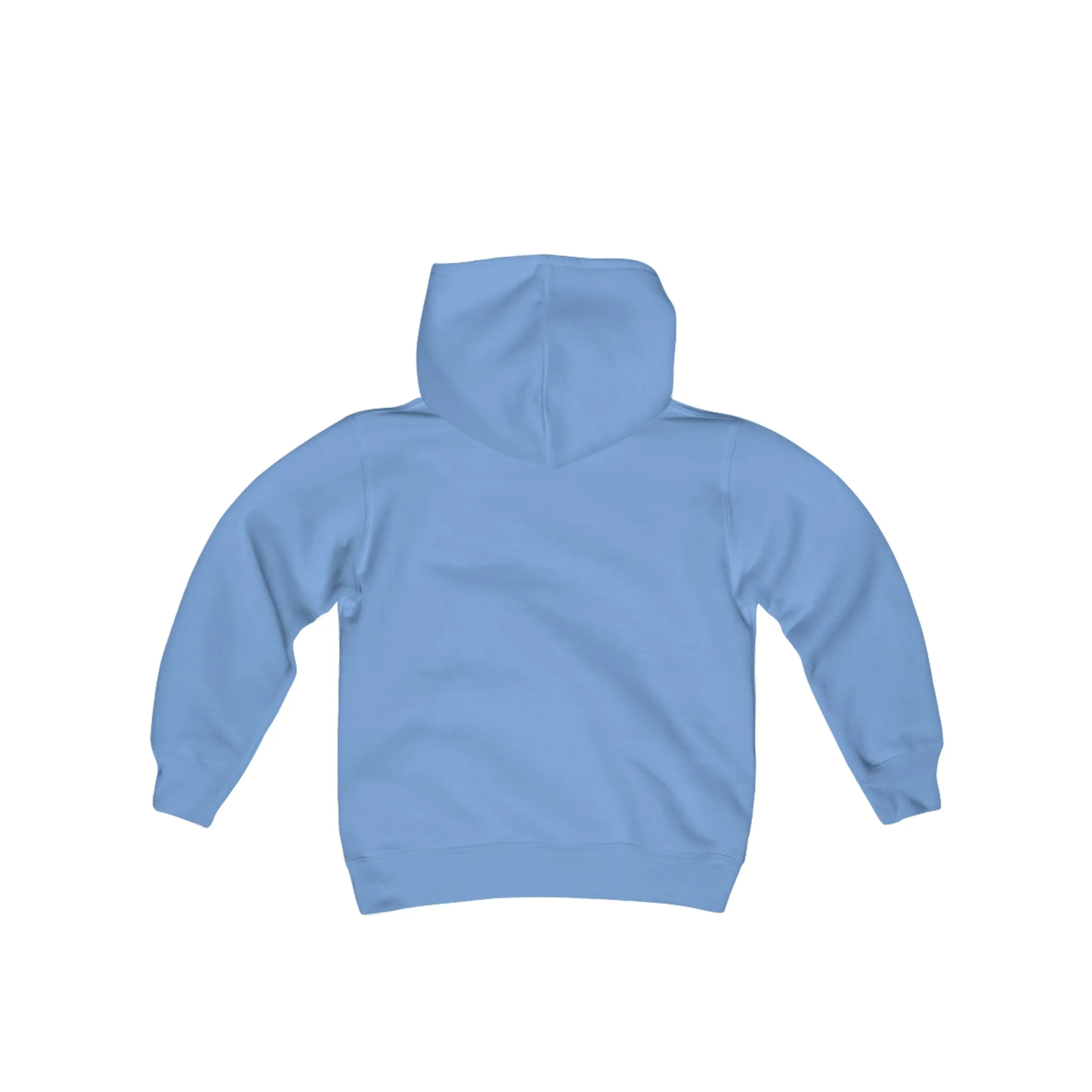 MSP Lakeview Youth Hooded Sweatshirt